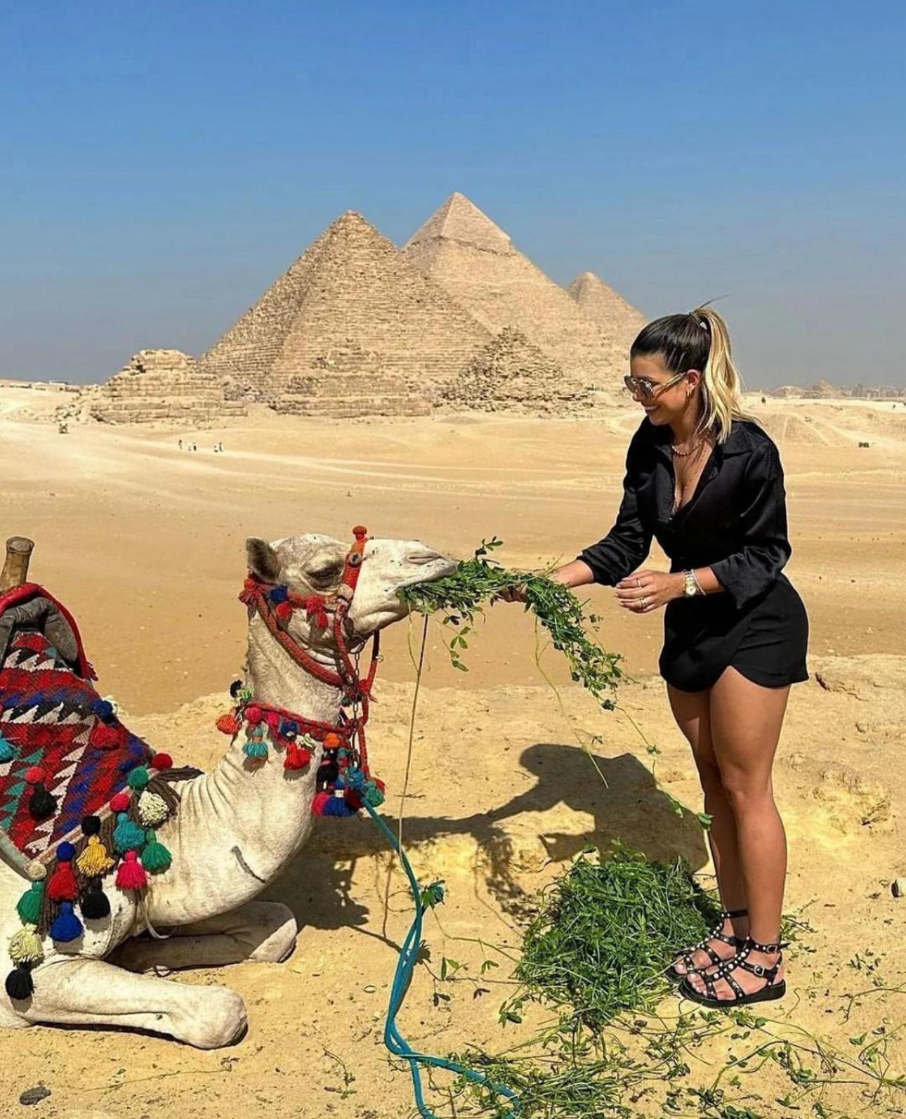 The Boulevard Sphinx Tower Kafret el-Gabal Eksteriør billede